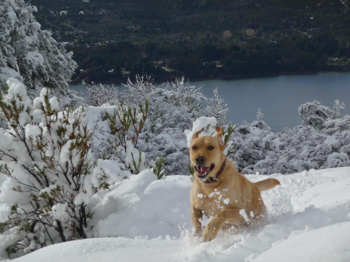 Galileo Boutique 4* San Carlos de Bariloche